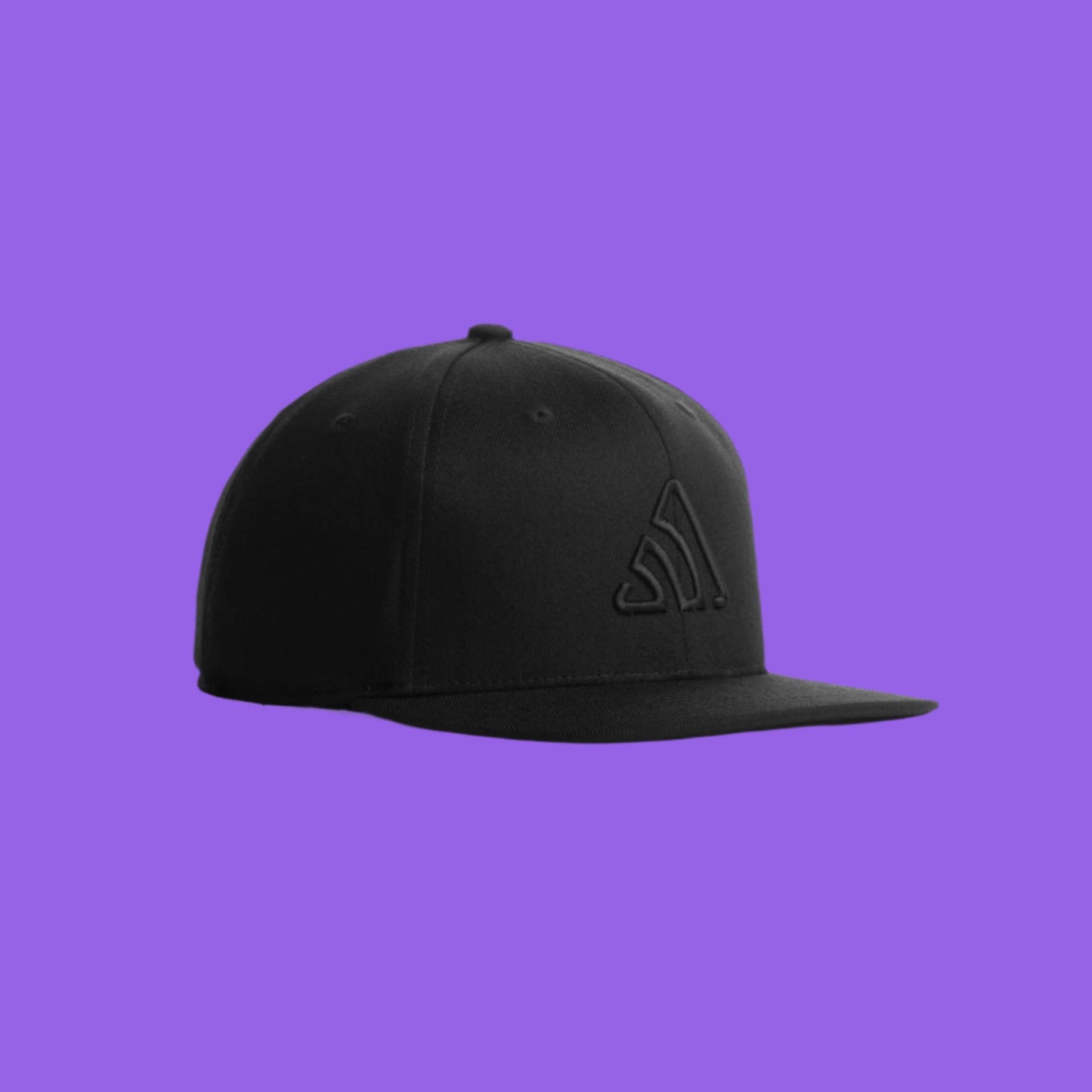 Sentry Snapback Cap (Black/Black)