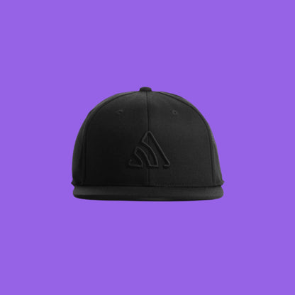 Sentry Snapback Cap (Black/Black)